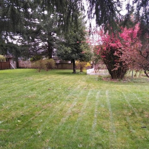 Photo 2 at 11726 203 Street, Southwest Maple Ridge, Maple Ridge Photo 2 at 11726 203 Street, Southwest Maple Ridge, Maple Ridge