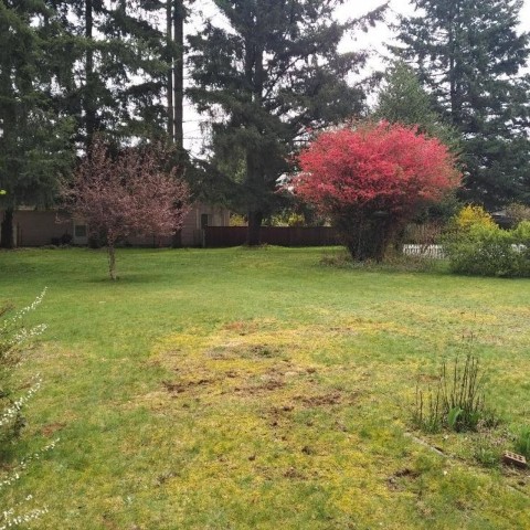 Photo 6 at 11726 203 Street, Southwest Maple Ridge, Maple Ridge Photo 6 at 11726 203 Street, Southwest Maple Ridge, Maple Ridge