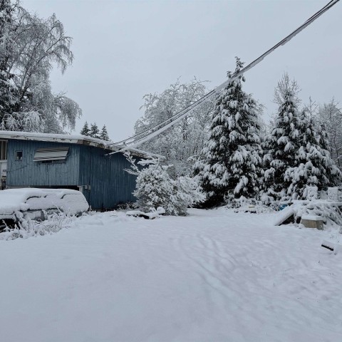 Photo 6 at 23311 118 Avenue, Cottonwood MR, Maple Ridge Photo 6 at 23311 118 Avenue, Cottonwood MR, Maple Ridge