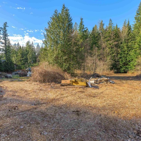 Photo 35 at 11726 284th Street, Whonnock, Maple Ridge Photo 35 at 11726 284th Street, Whonnock, Maple Ridge