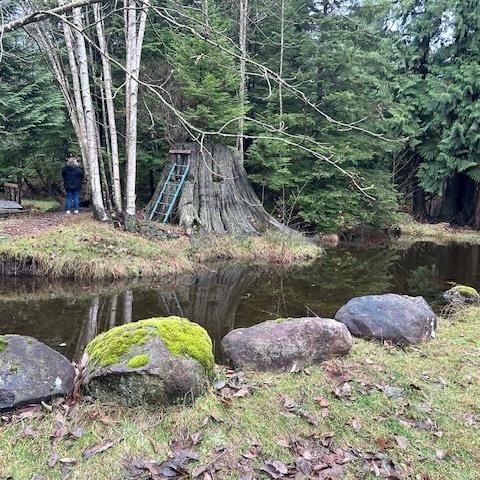 Photo 36 at 28316 Dewdney Trunk Road, Whonnock, Maple Ridge Photo 36 at 28316 Dewdney Trunk Road, Whonnock, Maple Ridge