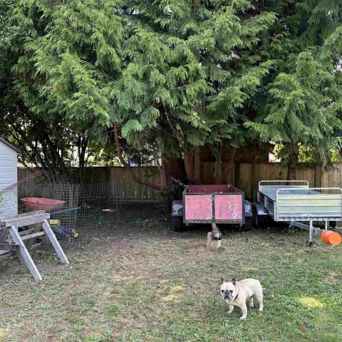 Photo 9 at 12044 Laity Street, West Central, Maple Ridge Photo 9 at 12044 Laity Street, West Central, Maple Ridge