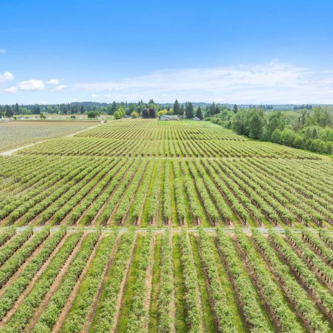 Photo 17 at 7361 240 Street, Fort Langley, Langley Photo 17 at 7361 240 Street, Fort Langley, Langley