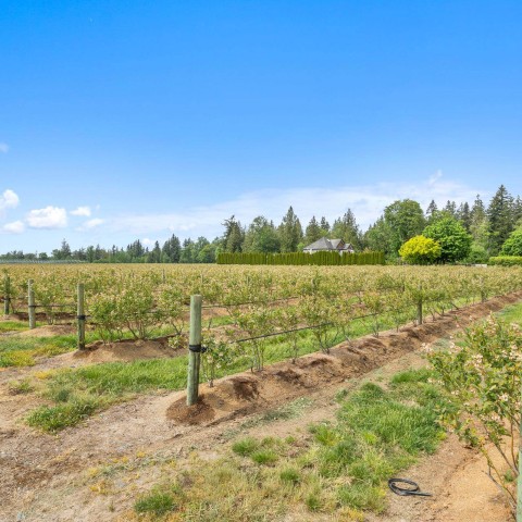 Photo 28 at 7361 240 Street, Fort Langley, Langley Photo 28 at 7361 240 Street, Fort Langley, Langley