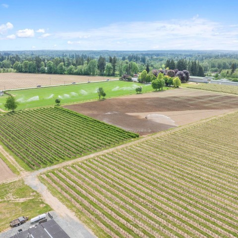 Photo 5 at 7361 240 Street, Fort Langley, Langley Photo 5 at 7361 240 Street, Fort Langley, Langley