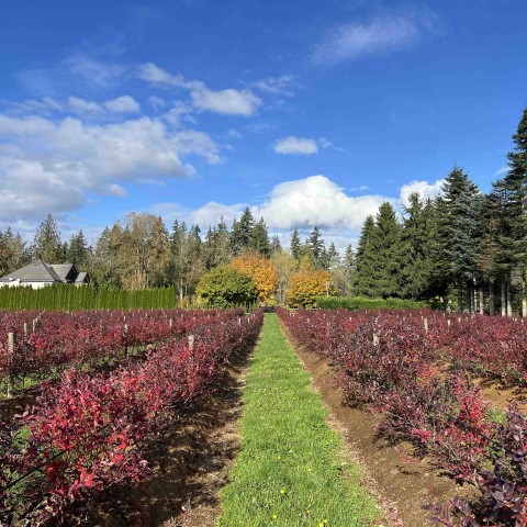 Photo 30 at 7361 240 Street, Fort Langley, Langley Photo 30 at 7361 240 Street, Fort Langley, Langley