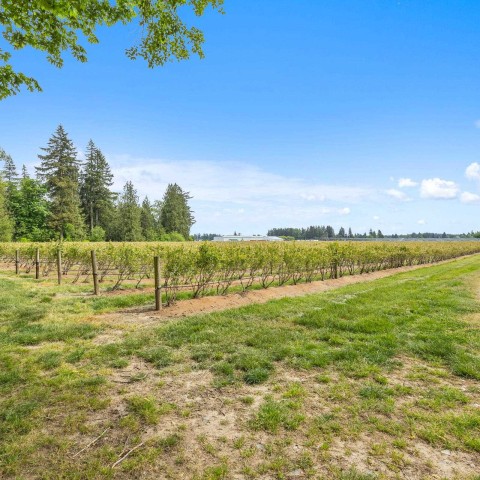 Photo 38 at 7361 240 Street, Fort Langley, Langley Photo 38 at 7361 240 Street, Fort Langley, Langley