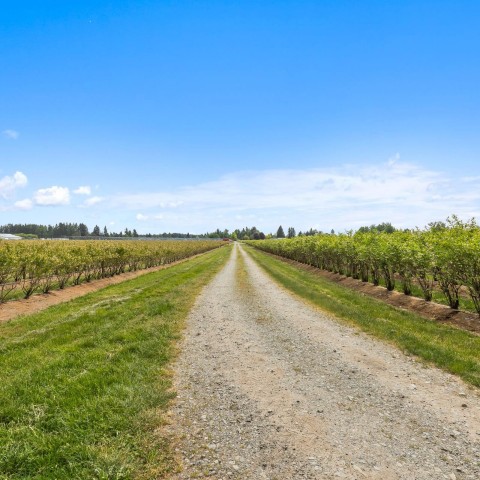 Photo 37 at 7361 240 Street, Fort Langley, Langley Photo 37 at 7361 240 Street, Fort Langley, Langley