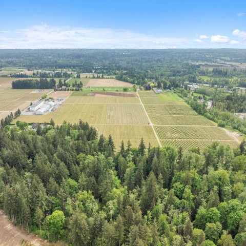 Photo 15 at 7361 240 Street, Fort Langley, Langley Photo 15 at 7361 240 Street, Fort Langley, Langley