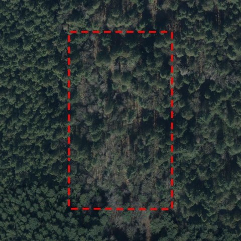 Photo 1 at 23900 138 Avenue, Silver Valley, Maple Ridge Photo 1 at 23900 138 Avenue, Silver Valley, Maple Ridge
