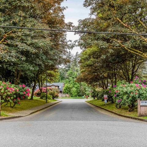 Photo 35 at 9 - 12227 Skillen Street, Northwest Maple Ridge, Maple Ridge Photo 35 at 9 - 12227 Skillen Street, Northwest Maple Ridge, Maple Ridge