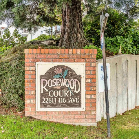Photo 19 at 311 - 22611 116 Avenue, East Central, Maple Ridge Photo 19 at 311 - 22611 116 Avenue, East Central, Maple Ridge