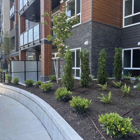 Photo 2 at 104 - 12109 223 Street, West Central, Maple Ridge Photo 2 at 104 - 12109 223 Street, West Central, Maple Ridge