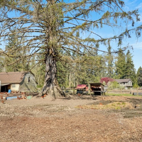 Photo 14 at 22022 132 Avenue, West Central, Maple Ridge Photo 14 at 22022 132 Avenue, West Central, Maple Ridge