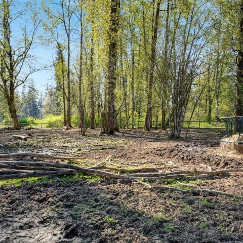 Photo 15 at 22022 132 Avenue, West Central, Maple Ridge Photo 15 at 22022 132 Avenue, West Central, Maple Ridge