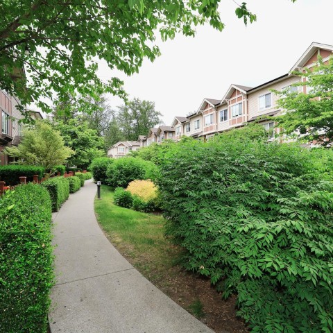 Photo 34 at 29 - 10151 240 Street, Albion, Maple Ridge Photo 34 at 29 - 10151 240 Street, Albion, Maple Ridge