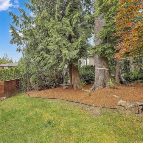 Photo 36 at 23285 138b Avenue, Silver Valley, Maple Ridge Photo 36 at 23285 138b Avenue, Silver Valley, Maple Ridge