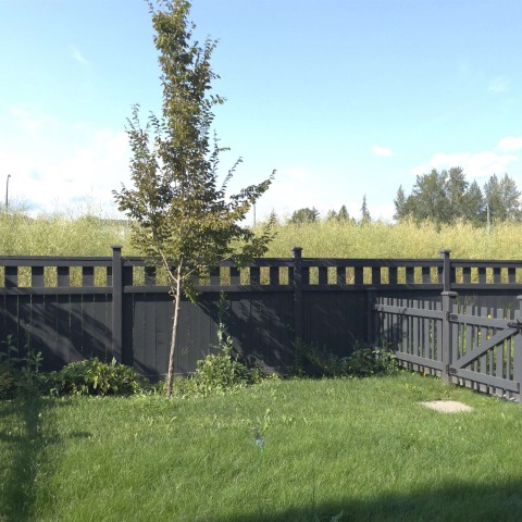 Photo 16 at 84 - 24076 112 Avenue, Cottonwood MR, Maple Ridge Photo 16 at 84 - 24076 112 Avenue, Cottonwood MR, Maple Ridge