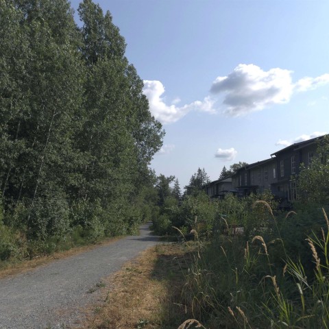 Photo 19 at 84 - 24076 112 Avenue, Cottonwood MR, Maple Ridge Photo 19 at 84 - 24076 112 Avenue, Cottonwood MR, Maple Ridge