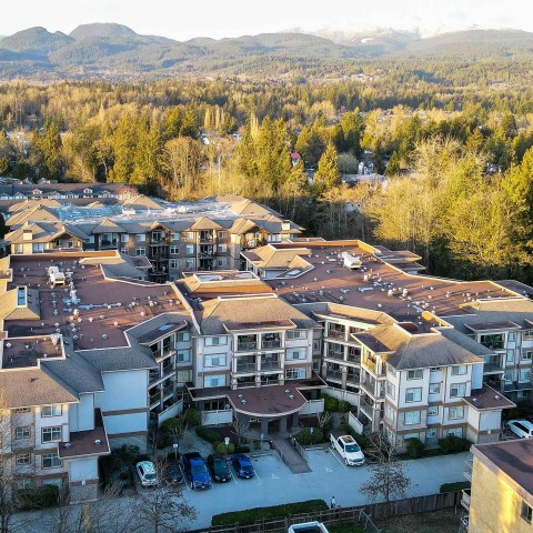 Photo 1 at 222 - 12248 224 Street, East Central, Maple Ridge Photo 1 at 222 - 12248 224 Street, East Central, Maple Ridge