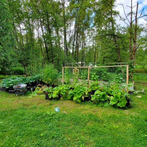 Photo 29 at 25855 112 Avenue, Thornhill MR, Maple Ridge Photo 29 at 25855 112 Avenue, Thornhill MR, Maple Ridge