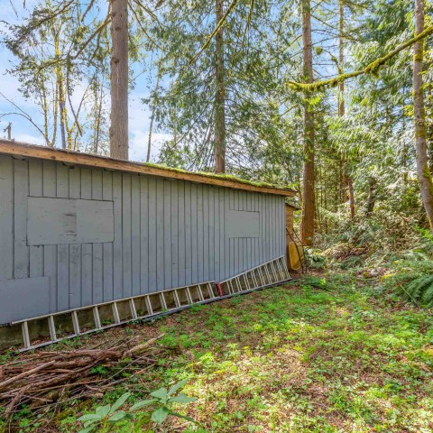 Photo 28 at 13209 232 Street, East Central, Maple Ridge Photo 28 at 13209 232 Street, East Central, Maple Ridge