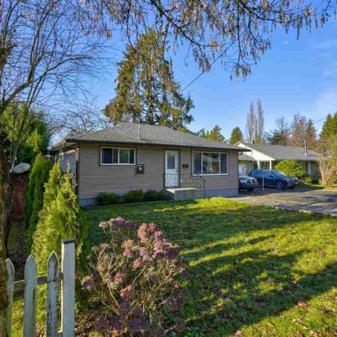 Photo 10 at 12115 228 Street, East Central, Maple Ridge Photo 10 at 12115 228 Street, East Central, Maple Ridge