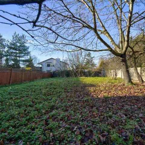 Photo 8 at 12115 228 Street, East Central, Maple Ridge Photo 8 at 12115 228 Street, East Central, Maple Ridge