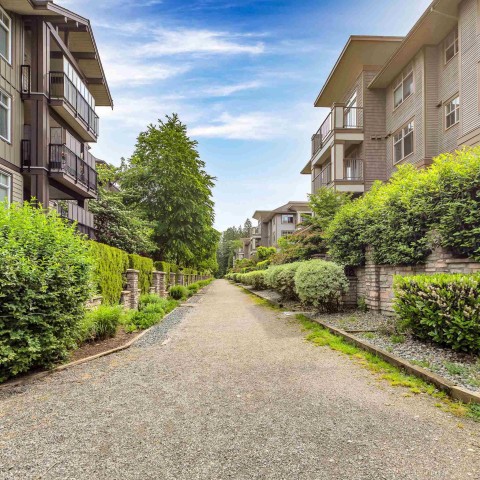 Photo 36 at 127 - 12258 224 Street, East Central, Maple Ridge Photo 36 at 127 - 12258 224 Street, East Central, Maple Ridge