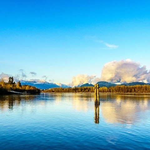 Photo 23 at 23124 96 Avenue, Fort Langley, Langley Photo 23 at 23124 96 Avenue, Fort Langley, Langley