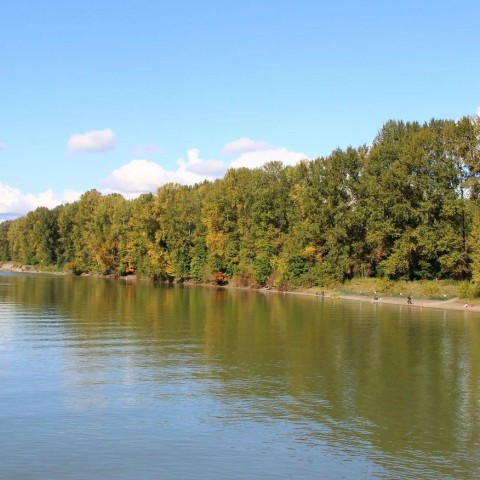 Photo 22 at 23124 96 Avenue, Fort Langley, Langley Photo 22 at 23124 96 Avenue, Fort Langley, Langley