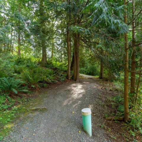 Photo 35 at 24386 101 Avenue, Albion, Maple Ridge Photo 35 at 24386 101 Avenue, Albion, Maple Ridge