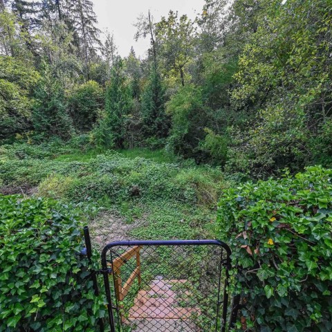 Photo 32 at 23766 110 Avenue, Cottonwood MR, Maple Ridge Photo 32 at 23766 110 Avenue, Cottonwood MR, Maple Ridge