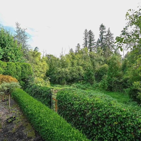 Photo 31 at 23766 110 Avenue, Cottonwood MR, Maple Ridge Photo 31 at 23766 110 Avenue, Cottonwood MR, Maple Ridge