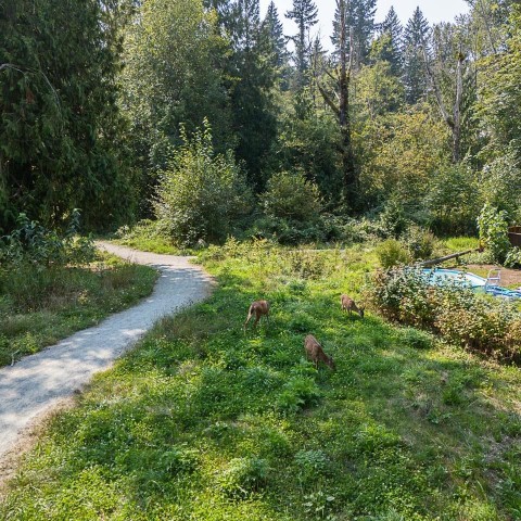 Photo 38 at 23091 134 Loop, Silver Valley, Maple Ridge Photo 38 at 23091 134 Loop, Silver Valley, Maple Ridge