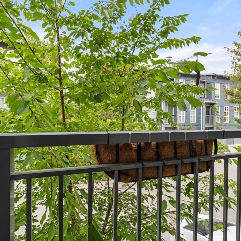 Photo 21 at 49 - 24076 112 Avenue, Cottonwood MR, Maple Ridge Photo 21 at 49 - 24076 112 Avenue, Cottonwood MR, Maple Ridge