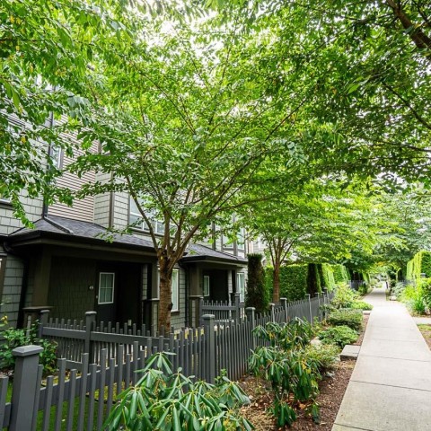 Photo 29 at 49 - 8138 204 Street, Willoughby Heights, Langley Photo 29 at 49 - 8138 204 Street, Willoughby Heights, Langley