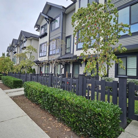 Photo 1 at 97 - 8570 204 Street, Willoughby Heights, Langley Photo 1 at 97 - 8570 204 Street, Willoughby Heights, Langley