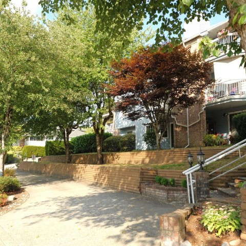Photo 5 at 115 - 11510 225 Street, East Central, Maple Ridge Photo 5 at 115 - 11510 225 Street, East Central, Maple Ridge