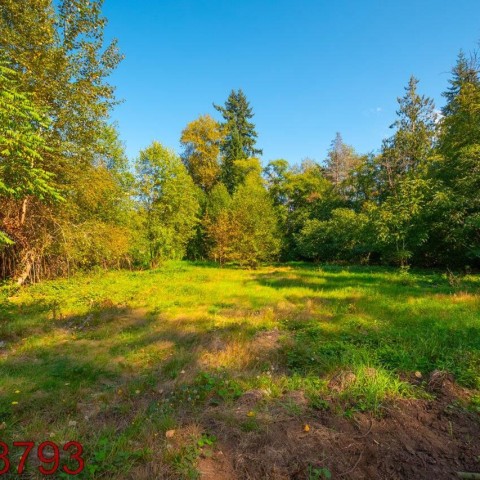 Photo 31 at 12760 232 Street, East Central, Maple Ridge Photo 31 at 12760 232 Street, East Central, Maple Ridge