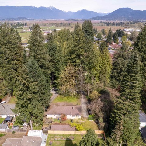 Photo 10 at 21310 124 Avenue, West Central, Maple Ridge Photo 10 at 21310 124 Avenue, West Central, Maple Ridge