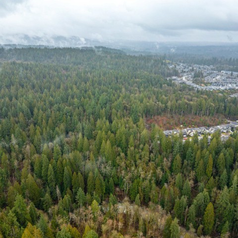 Photo 27 at 13800 236 Street, Silver Valley, Maple Ridge Photo 27 at 13800 236 Street, Silver Valley, Maple Ridge