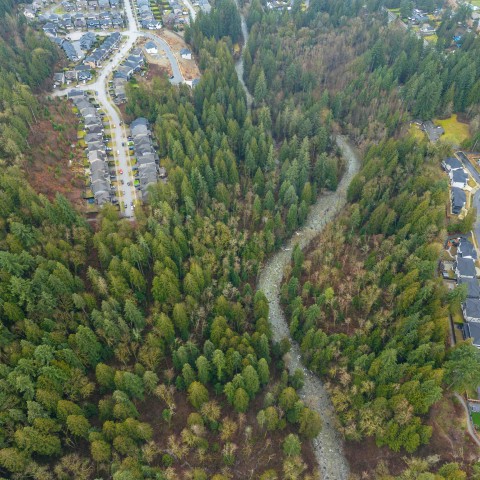 Photo 17 at 13800 236 Street, Silver Valley, Maple Ridge Photo 17 at 13800 236 Street, Silver Valley, Maple Ridge