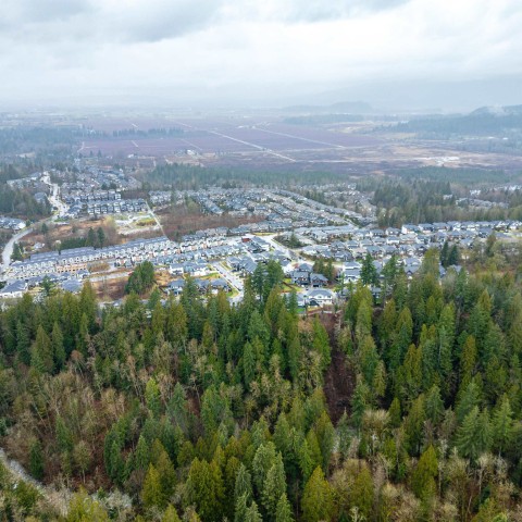 Photo 12 at 13800 236 Street, Silver Valley, Maple Ridge Photo 12 at 13800 236 Street, Silver Valley, Maple Ridge