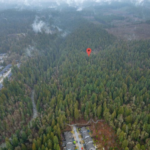 Photo 3 at 13800 236 Street, Silver Valley, Maple Ridge Photo 3 at 13800 236 Street, Silver Valley, Maple Ridge