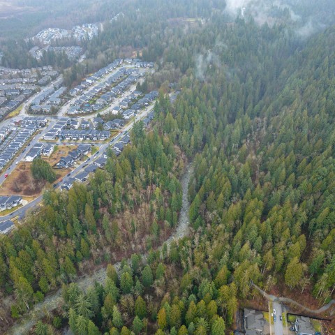Photo 5 at 13800 236 Street, Silver Valley, Maple Ridge Photo 5 at 13800 236 Street, Silver Valley, Maple Ridge
