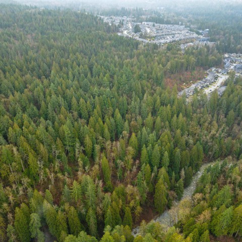 Photo 20 at 13800 236 Street, Silver Valley, Maple Ridge Photo 20 at 13800 236 Street, Silver Valley, Maple Ridge