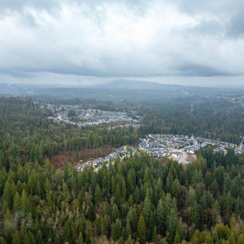 Photo 9 at 13800 236 Street, Silver Valley, Maple Ridge Photo 9 at 13800 236 Street, Silver Valley, Maple Ridge