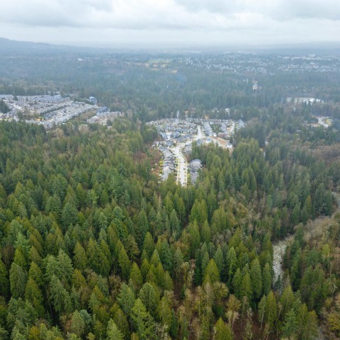 Photo 18 at 13800 236 Street, Silver Valley, Maple Ridge Photo 18 at 13800 236 Street, Silver Valley, Maple Ridge