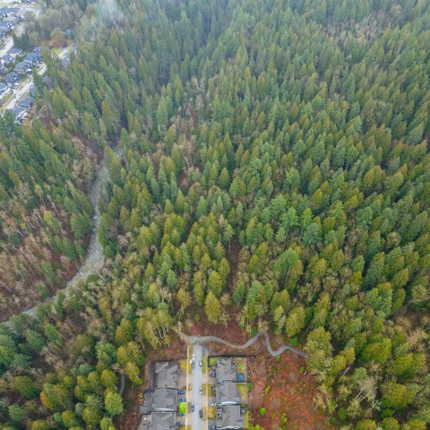 Photo 15 at 13800 236 Street, Silver Valley, Maple Ridge Photo 15 at 13800 236 Street, Silver Valley, Maple Ridge
